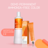 Kadus Demi Permanent Ammonia-free Color 10/81 60ml