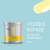 Visible Repair In-Salon Treatment 750 ml