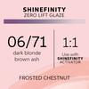 Shinefinity Zero Lift Glaze Frosted Chestnut 06/71, 60ml