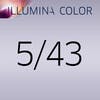 Illumina Color Tonalità Calde 5/43 60 ml