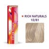 Color Touch Rich Naturals 10/81 60 ml