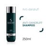 Anti Dandruff shampoo - Shampoo Antiforfora 250ml
